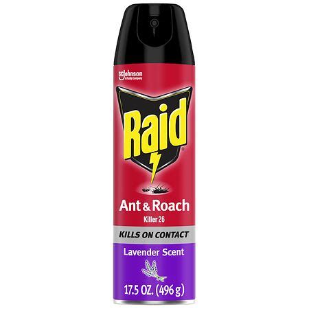 Raid Ant & Roach Killer 26, Indoor and Outdoor Insecticide Spray ...