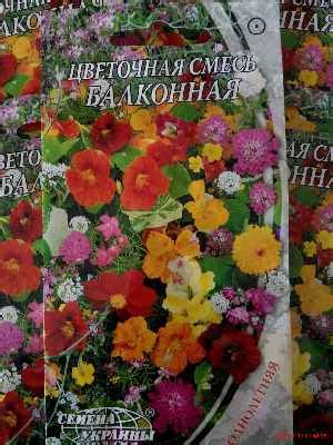 Купить Цветочная смесь Балконная