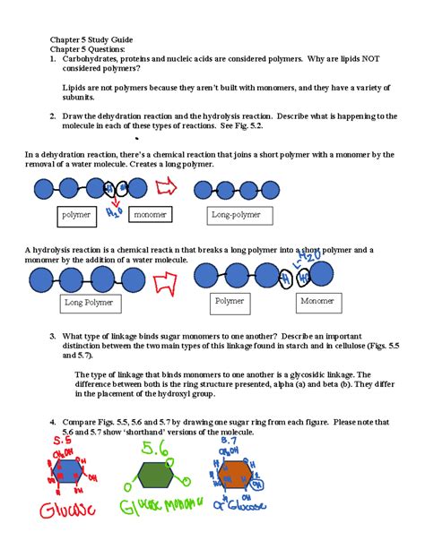 Ch 5 Study Guide Chapter 5 Study Guide Chapter 5 Questions 1