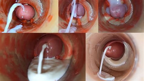 Best Compilation Crempie Camera Inside K Gay Big Cock Porn Feat Ladybottox XHamster