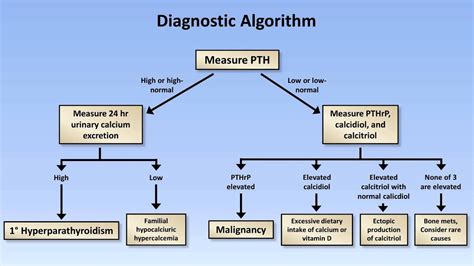 Hypercalcemia Youtube