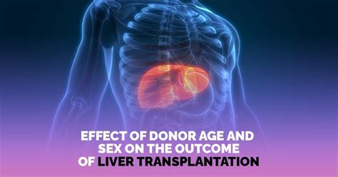 Umpredictable Scientific Research N 2 Effect Of Donor Age And Sex On The Outcome Of Liver