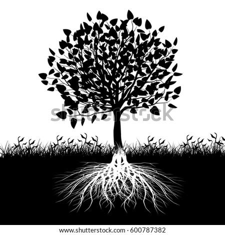 Tree Roots Silhouette Stock Illustration 92057183 - Shutterstock