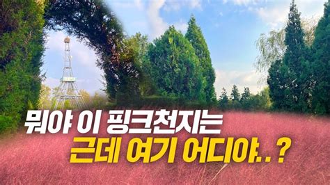 잇츠go 넘실넘실 핑크뮬리와🌾 함께하는 동화 속 산책 드림파크야생화단지 Youtube