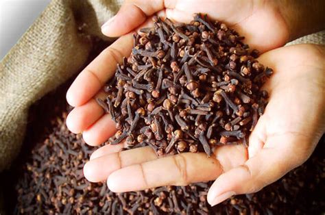 Types Of Cloves And Functions Nusagro