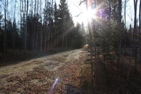 Campsite Details - 043, Cross Lake Provincial Park, AB - Alberta Parks