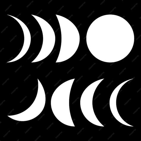 Premium Vector | Moon phases in vector