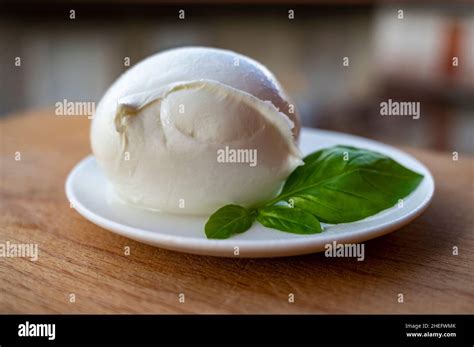 White Ball Of Italian Soft Cheese Mozzarella Di Bufala Campana And