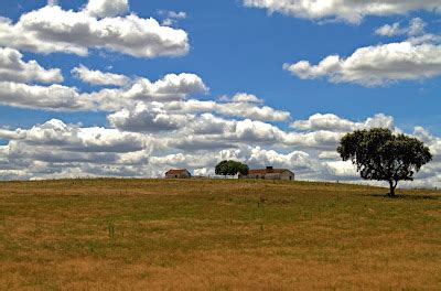 Amador de fotografia mas imensa paixão Paisagem Alentejana