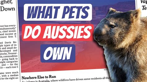 AE Expression Not Here To Fuck Spiders Aussie English