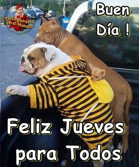 Buen Día Feliz Jueves Para Todos Cute Dogs Animals Cute Animals