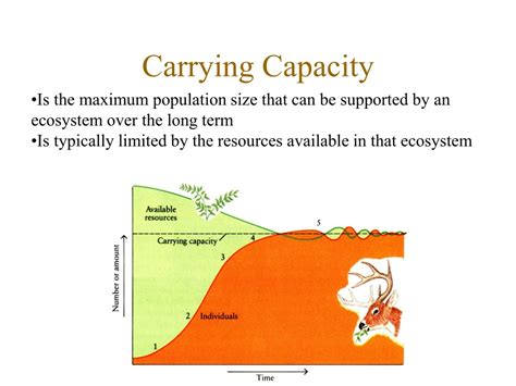 One Simple Carrying Capacity Example Biology Fans Love To Share - RYZE Superfoods