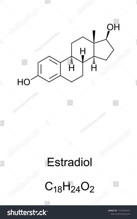 Estradiol Structural Formula Oestradiol Estrogen Steroid Stock Vector