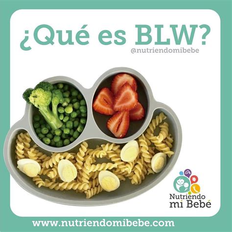 Qu Es Blw Baby Led Weaning Alimentaci N Complementaria Y Blw Hot Sex