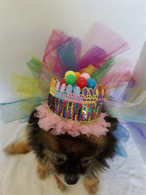 Dog Birthday Outfit Dog Birthday Hat Dog Birthday | Etsy