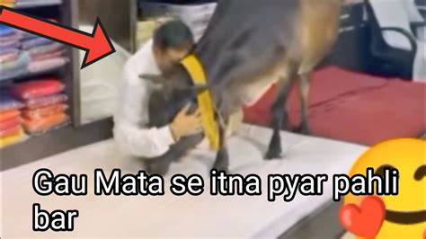 Har Shaniwar Aati Hai Gau Mata Is Dukaan Per Dekhiae Gau Mata Se Itna