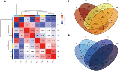 Frontiers Combined Analysis Of Metagenome And Transcriptome Revealed