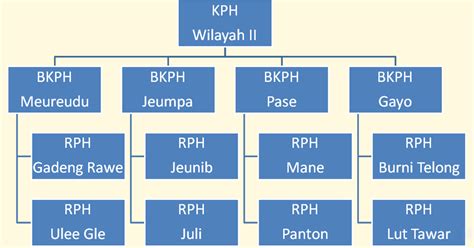 profil singkat kph wilayah ii