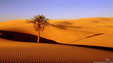 Kalahari Desert HD Wallpaper Pxfuel