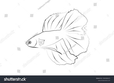 Vector Line Art Betta Fish Cartoon Stock Vector (Royalty Free) 2300580471 | Shutterstock