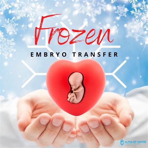 Frozen embryo transfer and process