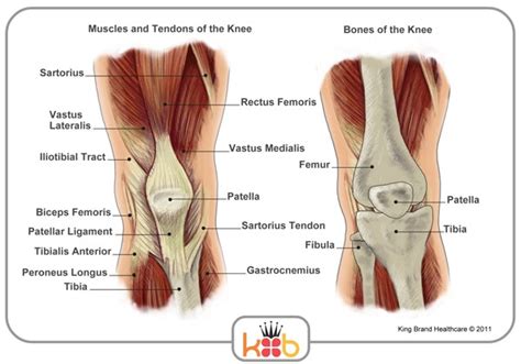 Knee Injuries: Behind The Knee Injuries