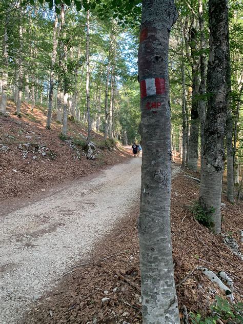 Viaggio Di Fine Estate Alla Scoperta Del Cammino Naturale Dei Parchi