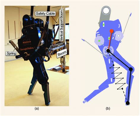 MABEL A Planar Bipedal Robot For Walking And Running A The Shin And