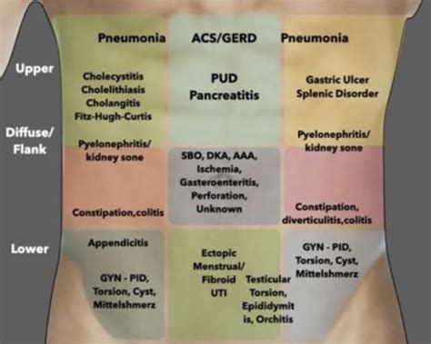 Lecture 6: Abdominal Pain Locations in 9 Quadrants Flashcards | Quizlet