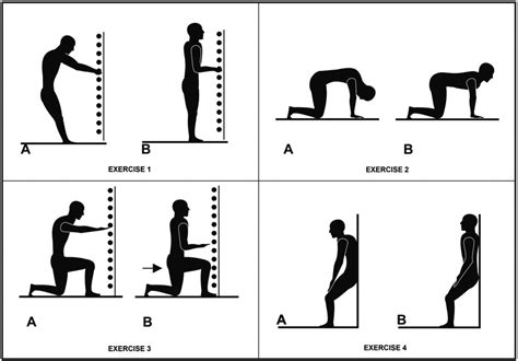 Lumbar Stabilization And Thoracic Mobilization Exercises Lstmc Group