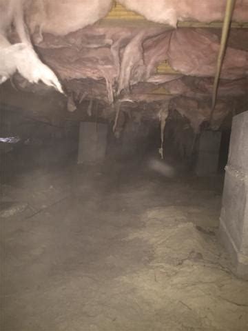 Southeast Foundation Crawl Space Repair Before And After Photos