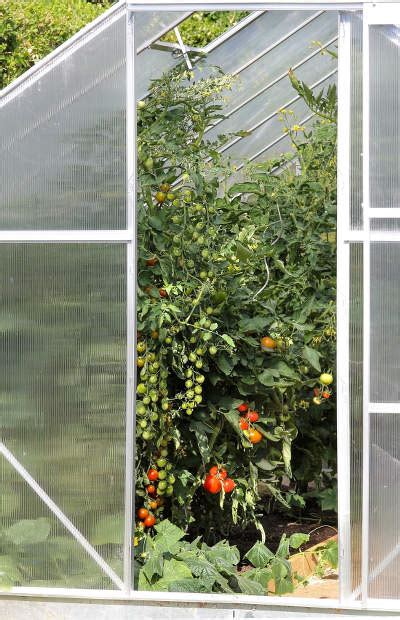 Lautosuffisance au potager légumes et conservation en hiver