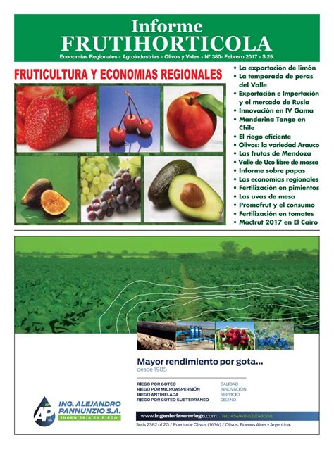 Informe Frutihorticola Febrero 2017 By Horticultura Poscosecha Issuu