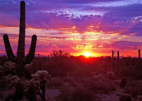 Desert Downtown Arizona Sunset Phoenix Arizona - Where to see Arizona's ...