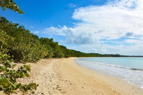 The Best Beaches In Tobago Map Included Artofit