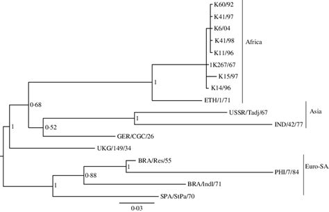 Bayesian Inference Tree Indicating The Phylogenetic Relationships