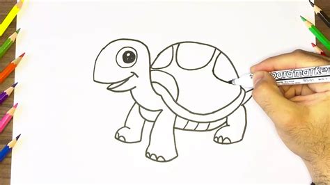 Apprenez à Dessiner Une Tortue Pour Les Enfants Youtube