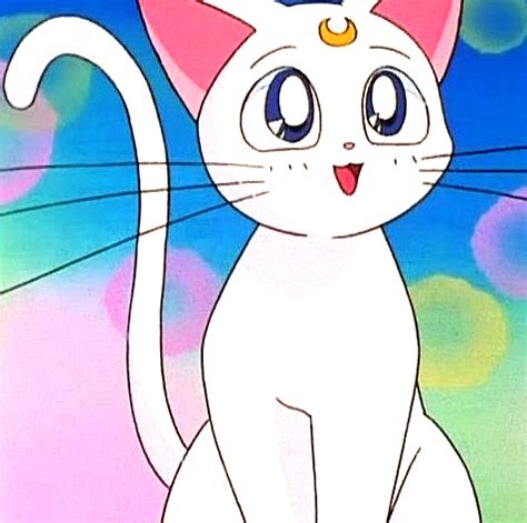 Pin by The-horse2002 on Anime ♘ | Sailor moon cat, Sailor moon ...