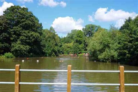 Tips to Help Plan Your Swim in the Hampstead Heath Bathing Ponds!