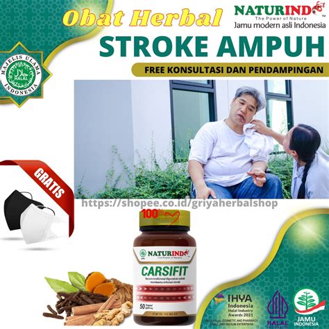 Jual Obat Stroke Struke Herbal Obat Stroke Ringan Dan Berat Obat Lumpuh