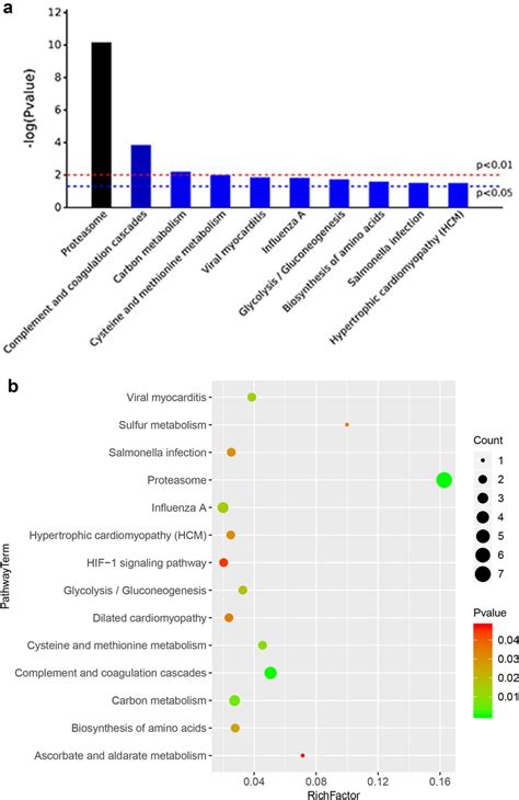 Kegg Pathway Enrichment Analysis A The Top 10 Pathways Enriched