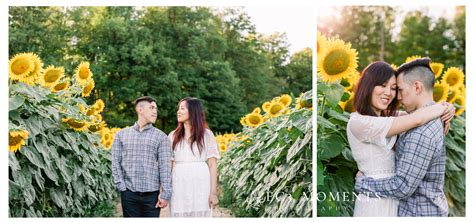 Manley And Lorie Toronto Whimsical Sunflower Field Engagement Ec3