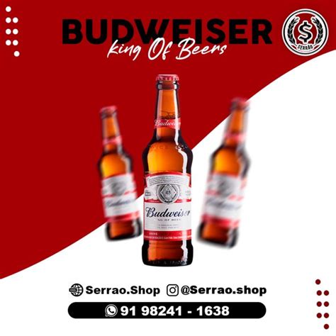 Cerveja Budweiser Long Neck Bosque Da Neblina