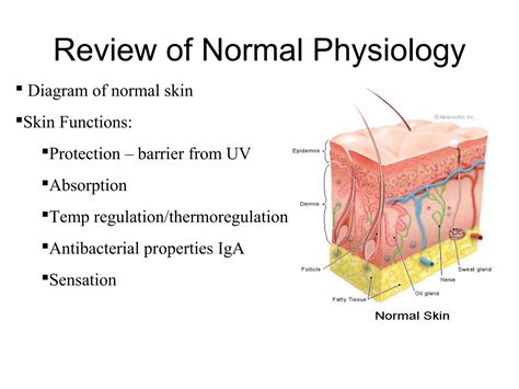 Solution Dermatology Class Notes Deck Studypool