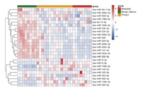 Tumor Mutation Burden Tmb Analysis And Validation Analysis A The