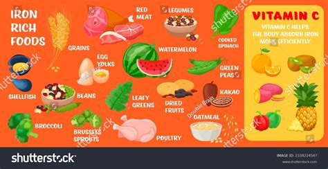 Iron Rich Foods Vitamin C Foods Stock Vector (Royalty Free) 2108224547 ...