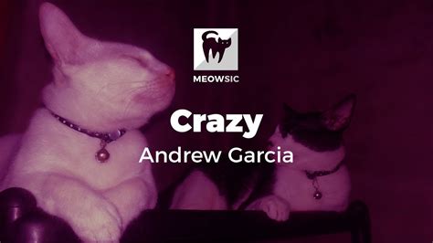 Crazy Andrew Garcia Lyrics Youtube