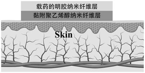 一种载药双层纳米纤维膜及其制备方法