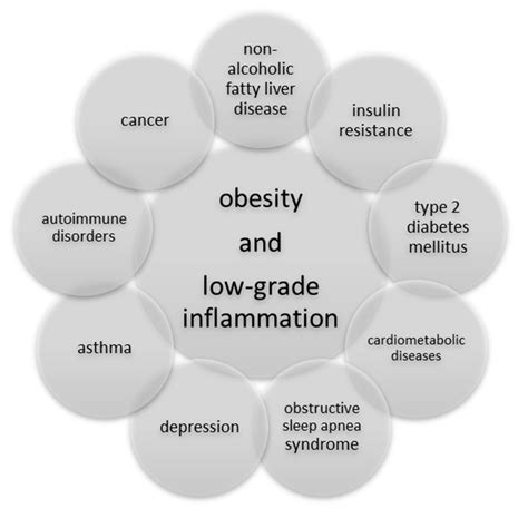 Ijerph Free Full Text Low Grade Inflammation And Role Of Anti