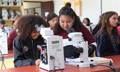 Estudantes Da Rede P Blica De S O Louren O Do Sul Visitam Laborat Rio